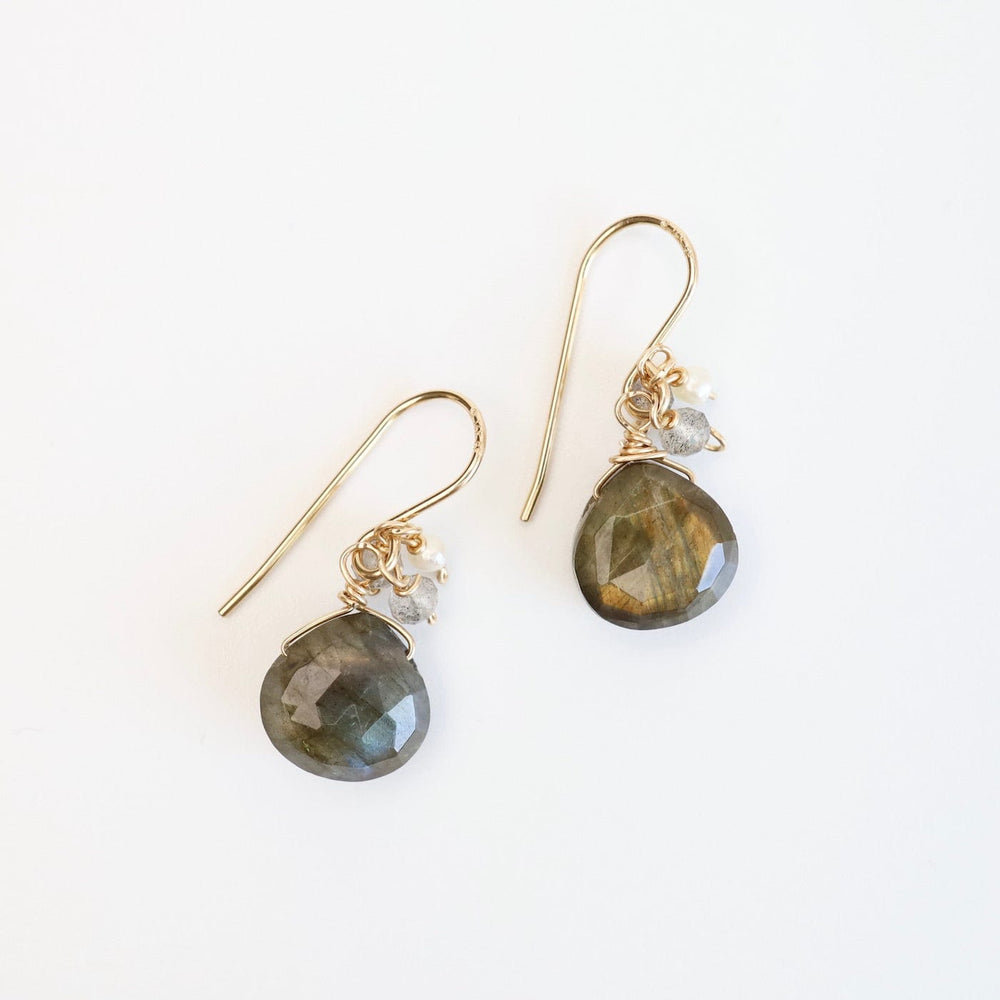 
                  
                    EAR-GF Gold Filled Rondelle Cluster with Labradorite Drop Earring
                  
                