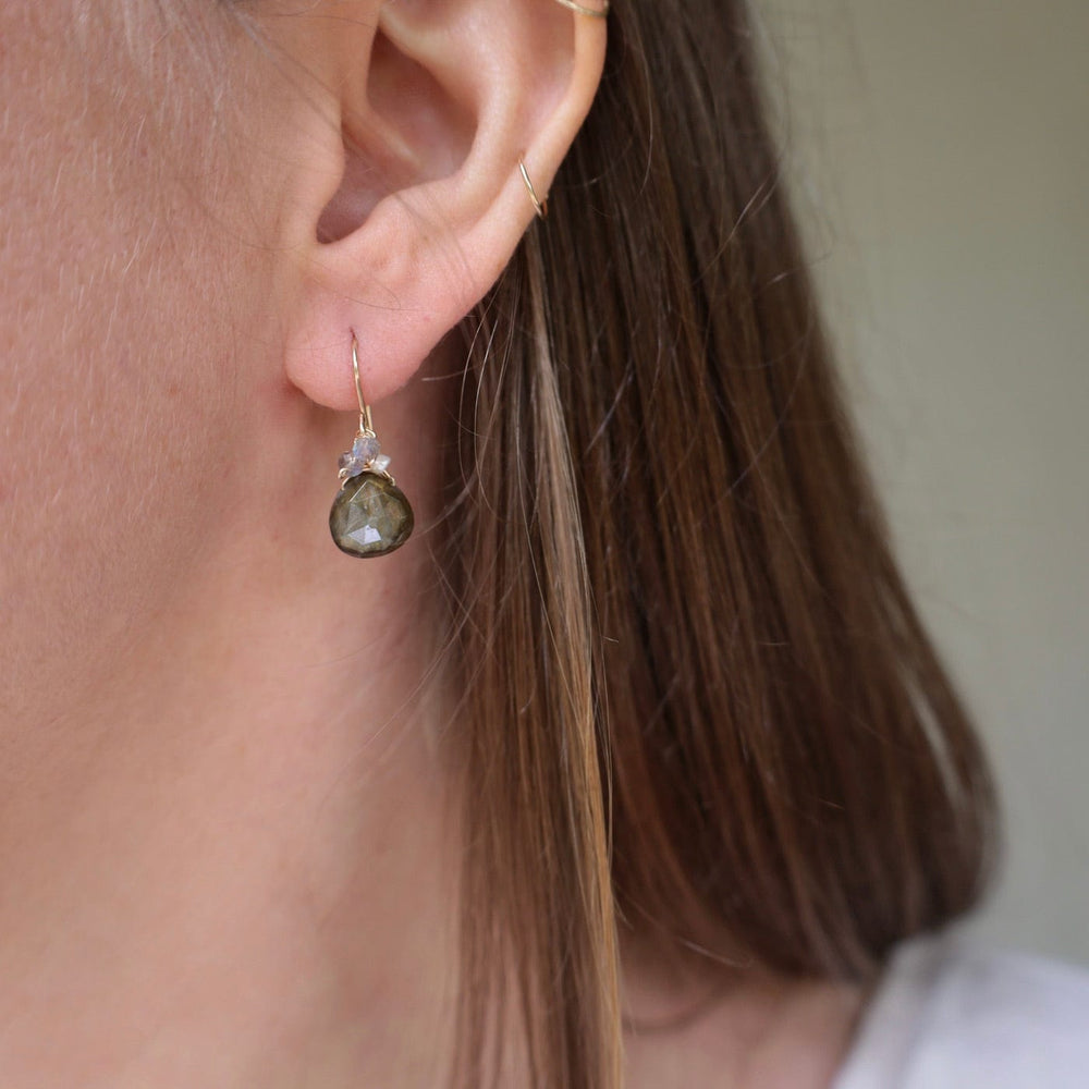 EAR-GF Gold Filled Rondelle Cluster with Labradorite Drop Earring