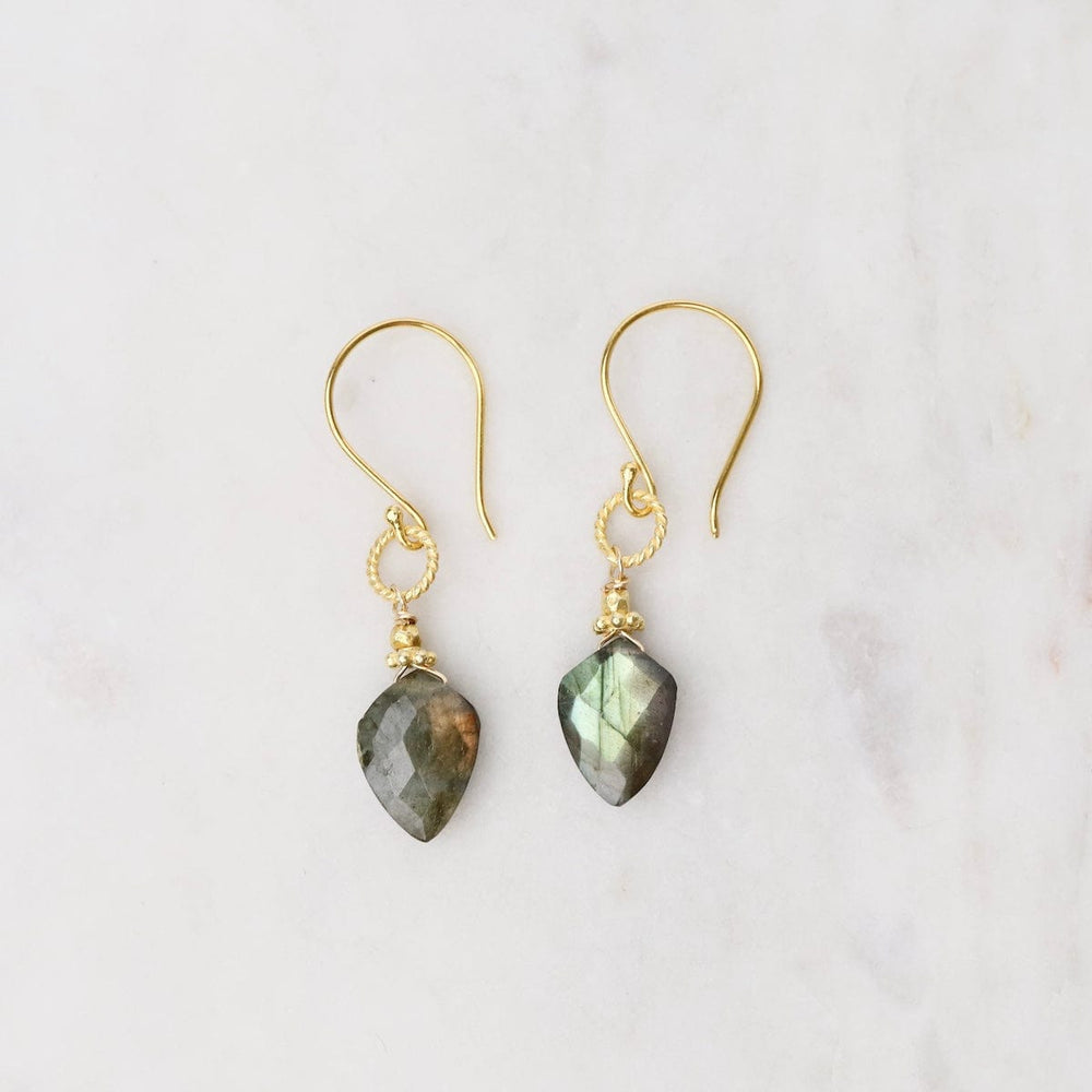 ear-gf Gold Labradorite Spade Earrings