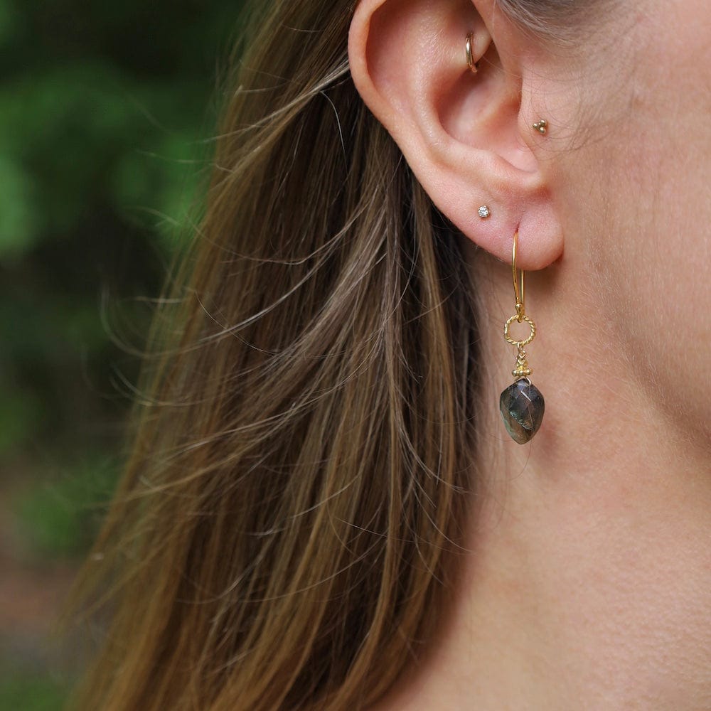 ear-gf Gold Labradorite Spade Earrings