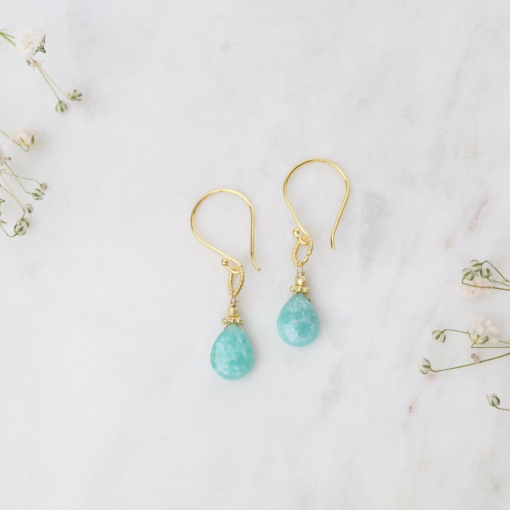 
                      
                        ear-gf Gold Rope Link Earrings with Amazonite
                      
                    