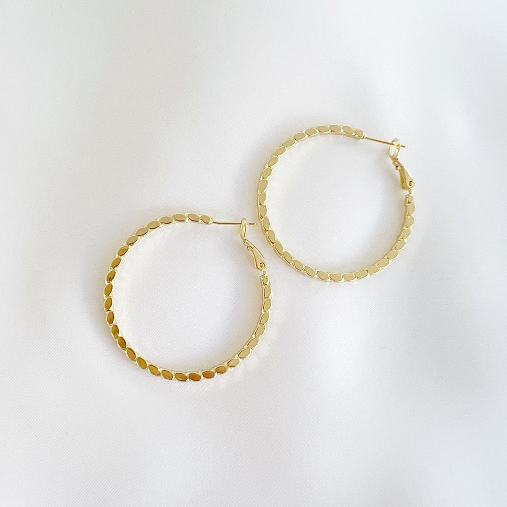 EAR-GF Goldie Hoops Earrings Gold Filled