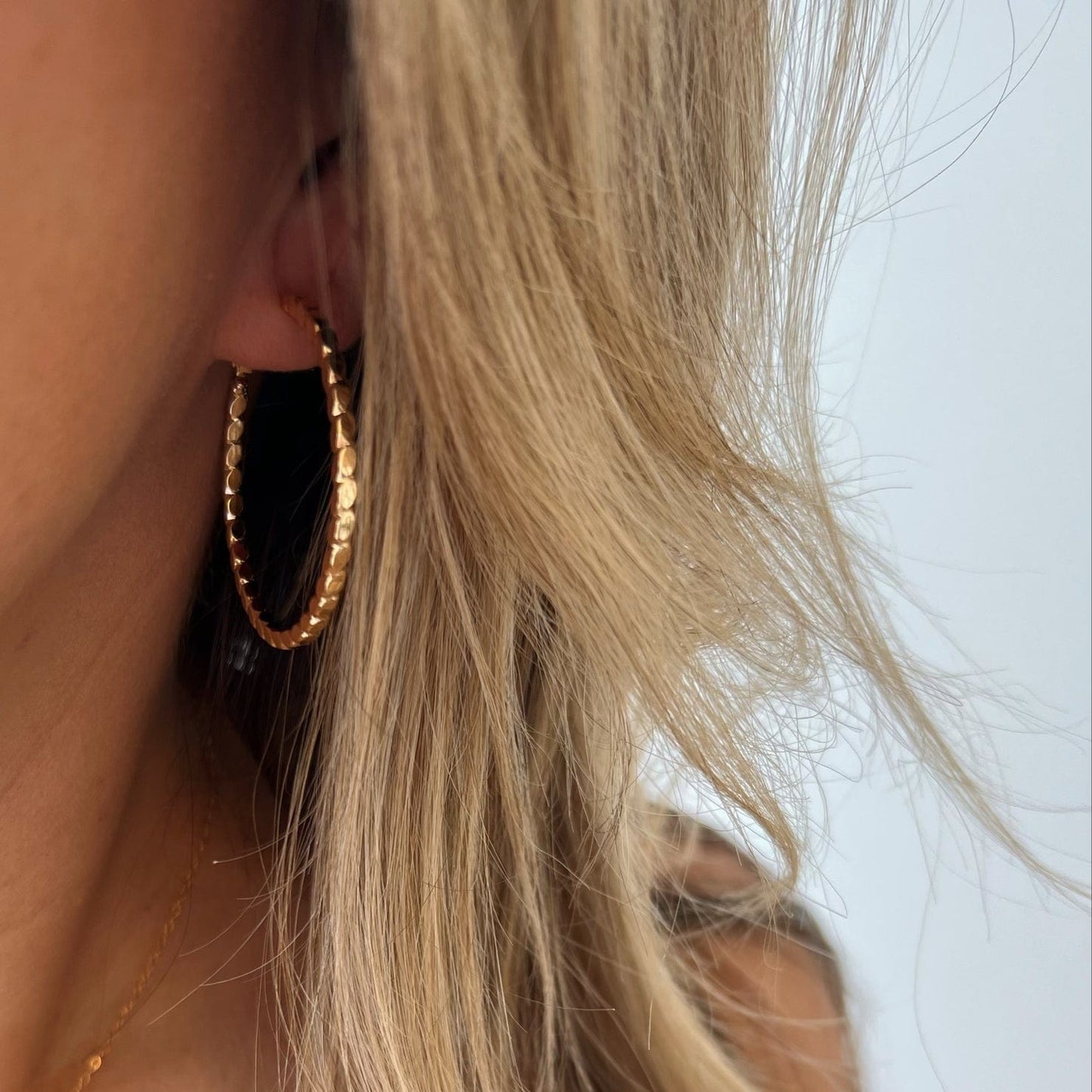 EAR-GF Goldie Hoops Earrings Gold Filled