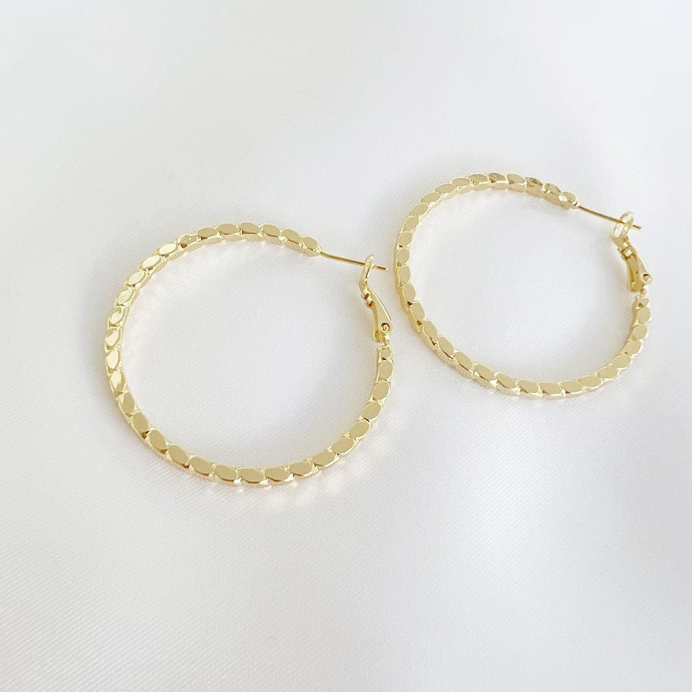 
                  
                    EAR-GF Goldie Hoops Earrings Gold Filled
                  
                