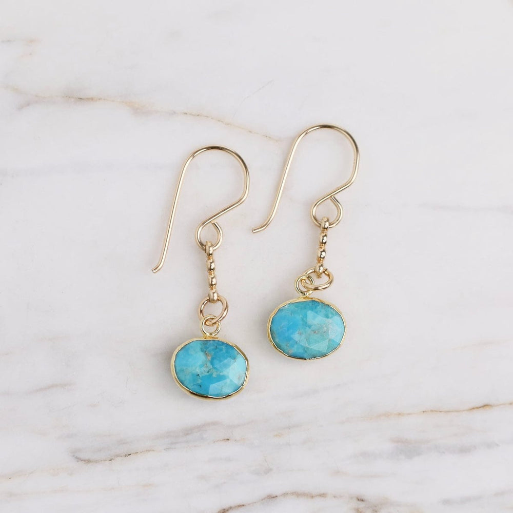 EAR-GF Horizontal Turquoise Earrings