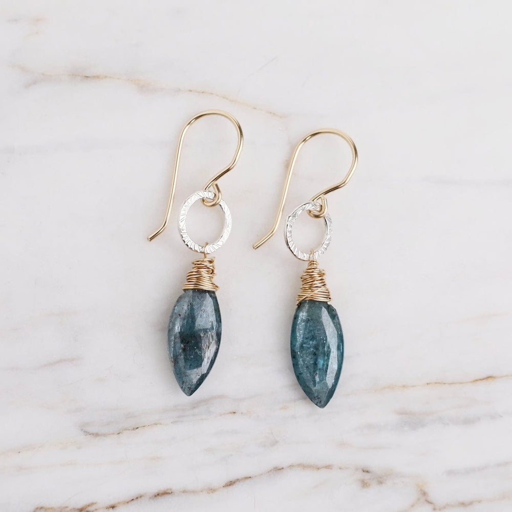 
                      
                        EAR-GF Kyanite Petal Earrings
                      
                    