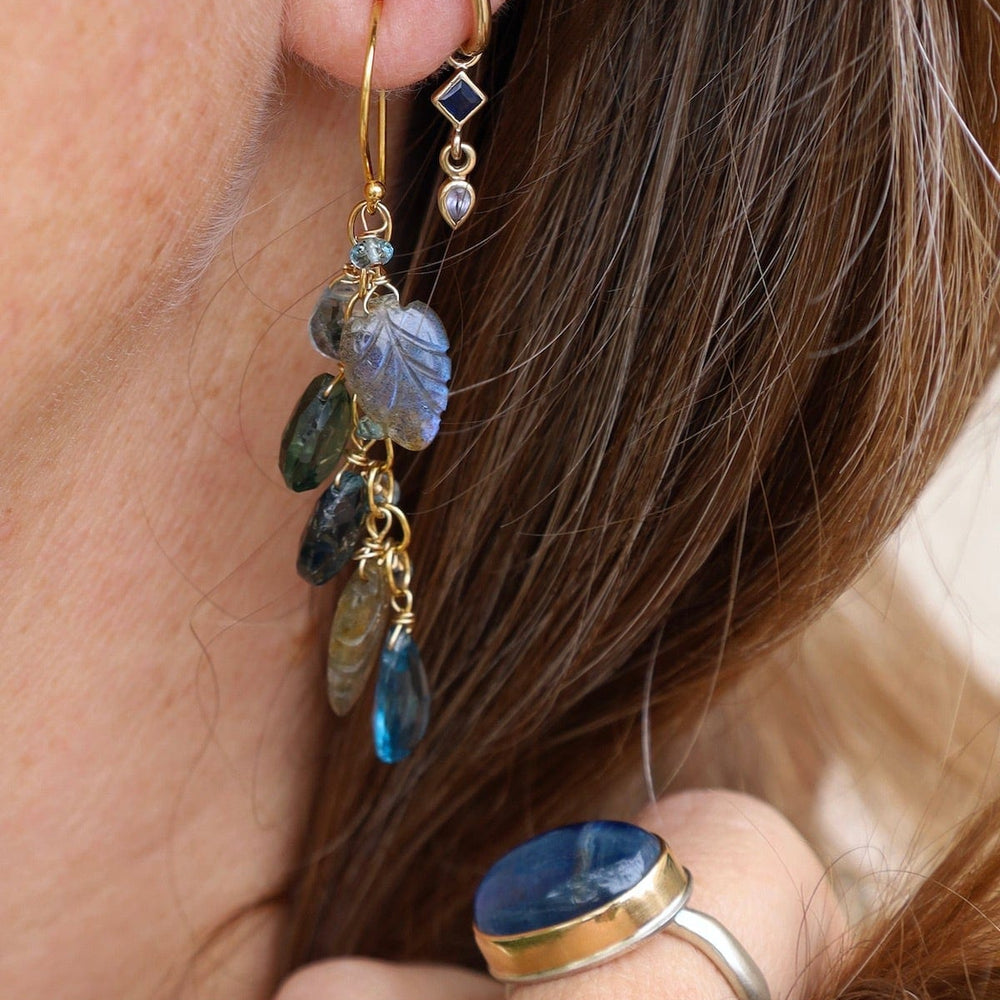 
                  
                    EAR-GF Labradorite Carved Leaves, Blue Topaz, & Kyanite Earrings
                  
                