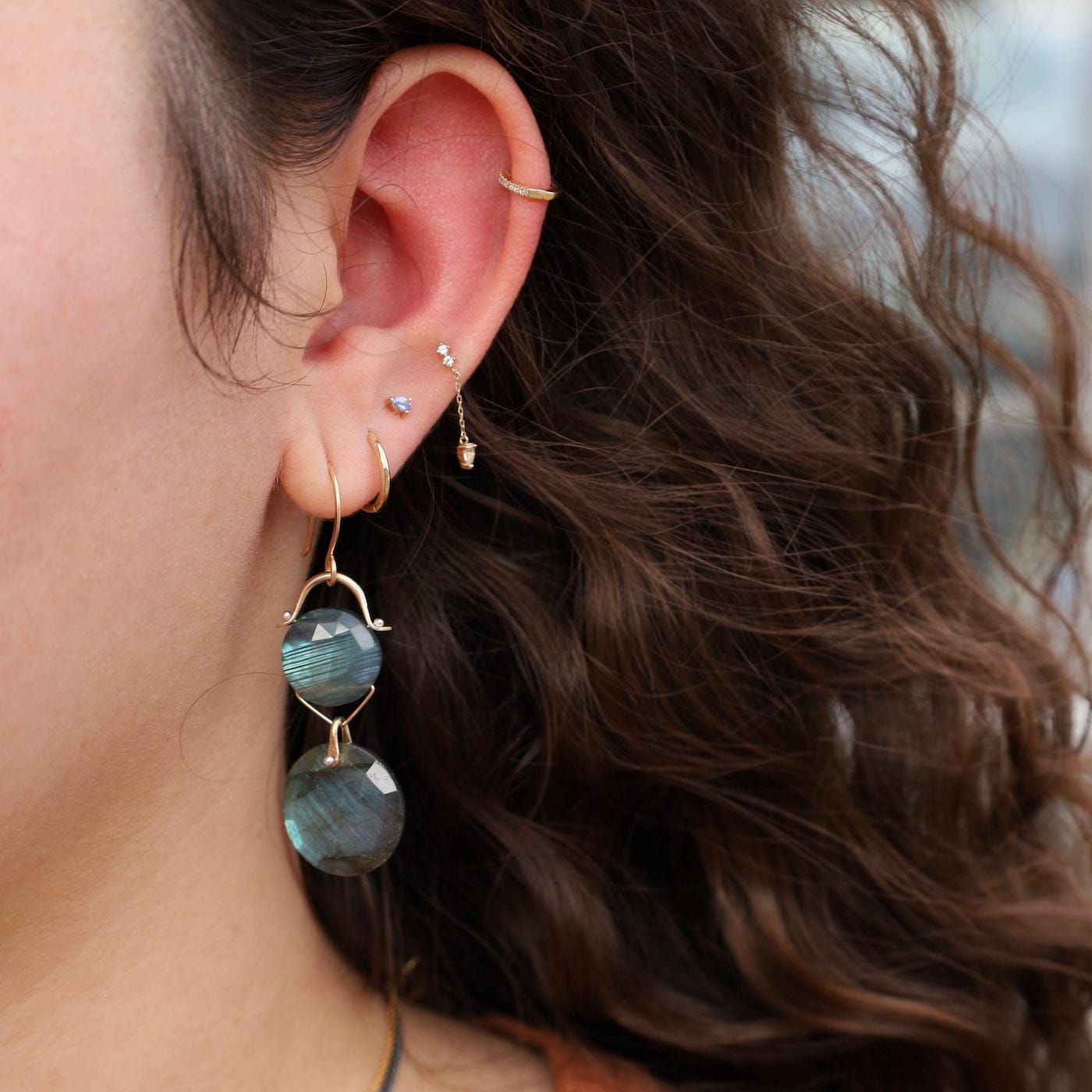 EAR-GF Labradorite Coin Mosaic Earrings