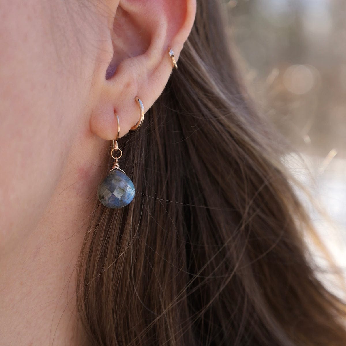 EAR-GF Labradorite Drops Earrings