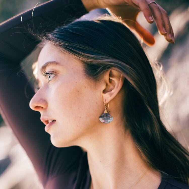 
                  
                    EAR-GF Labradorite Fan Earrings
                  
                