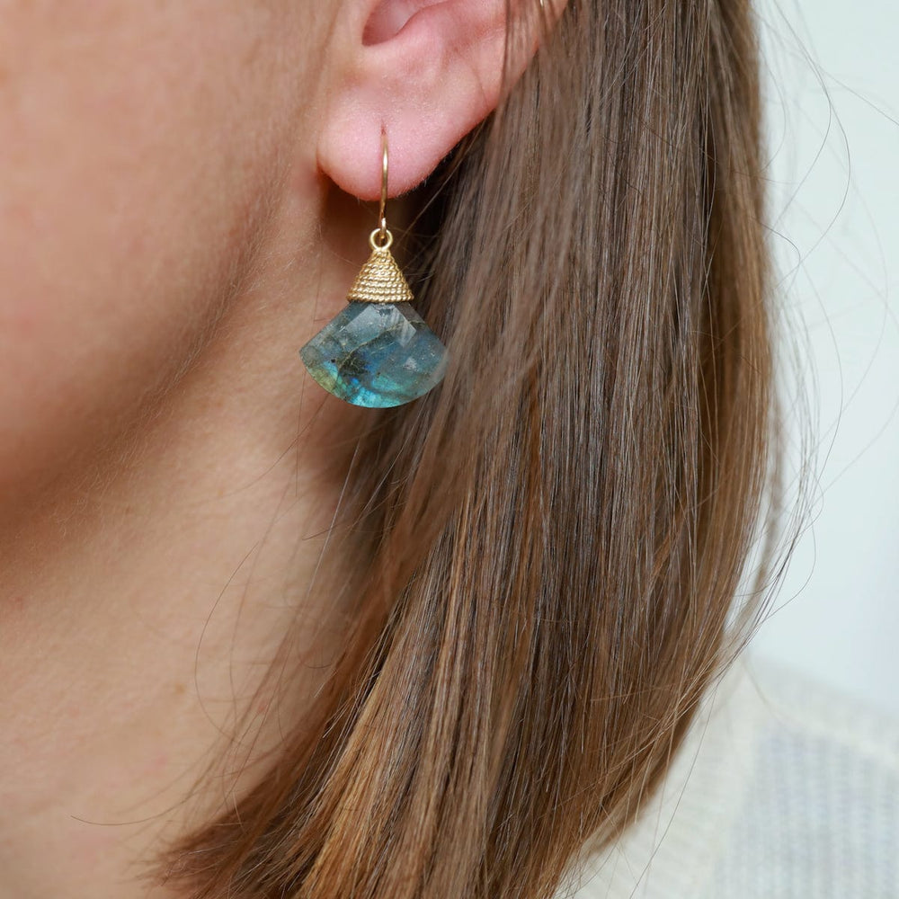 
                  
                    EAR-GF Labradorite Fan Earrings
                  
                