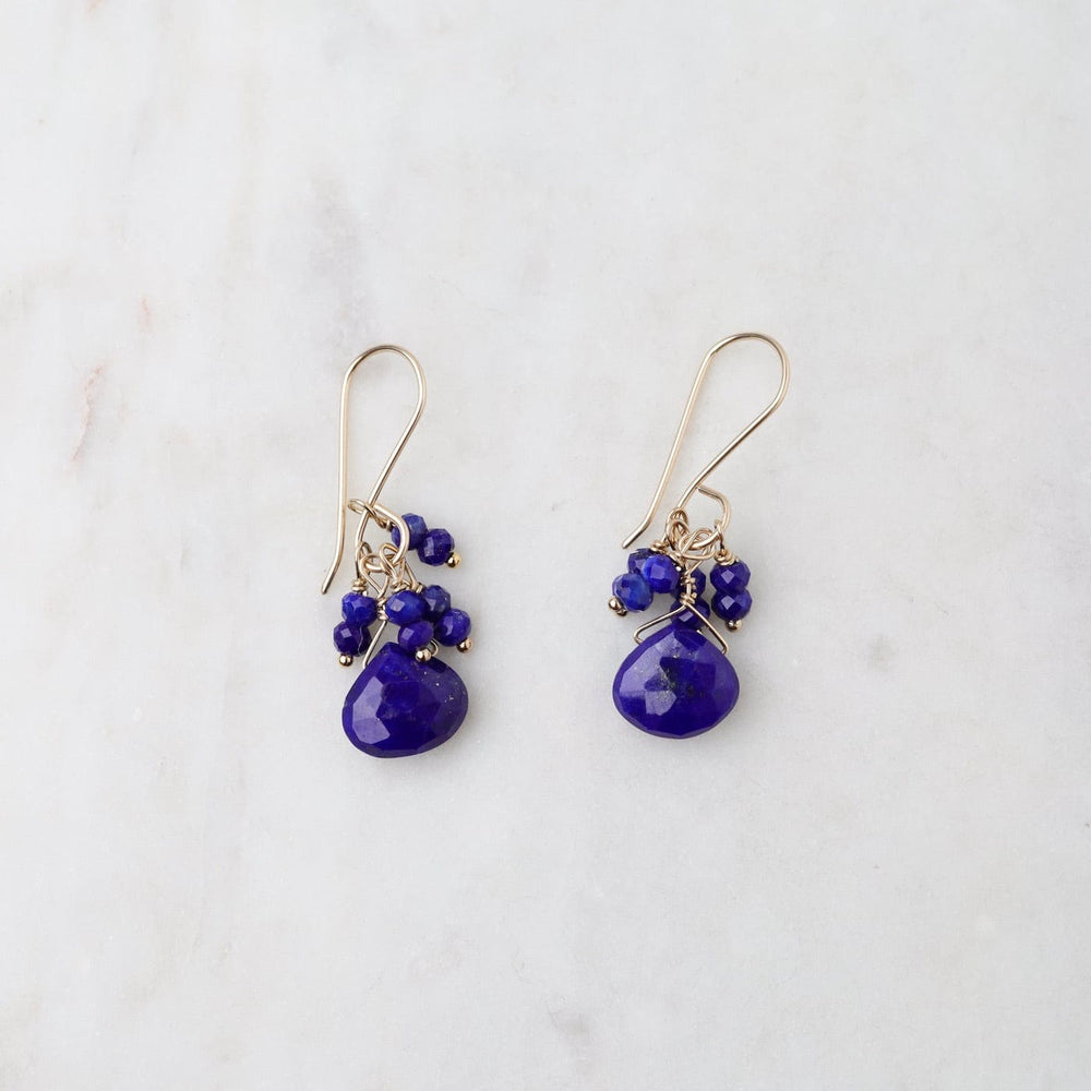 EAR-GF Lapis Briolette & Lapis Cluster Gold Fill Earrings