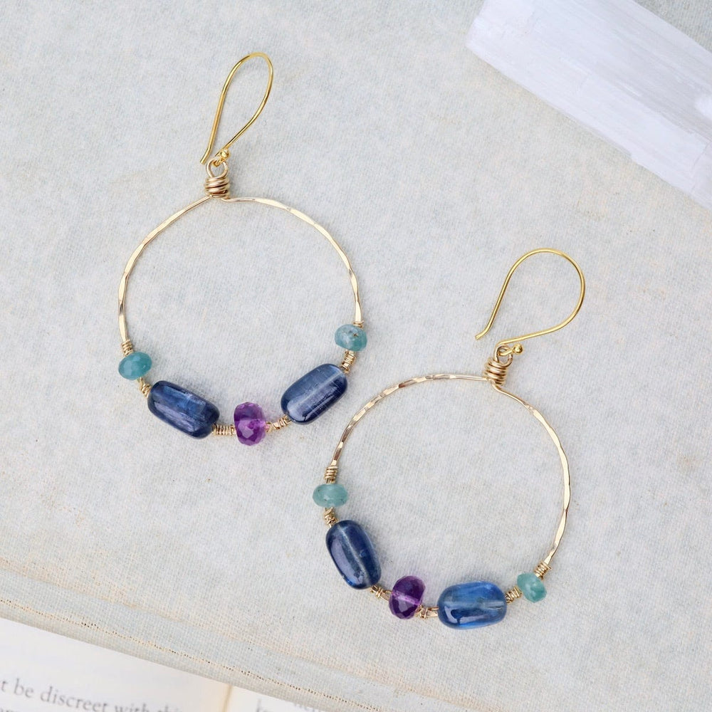 EAR-GF Large Hoop Amethyst, Kyanite, Grandidierite Earrings