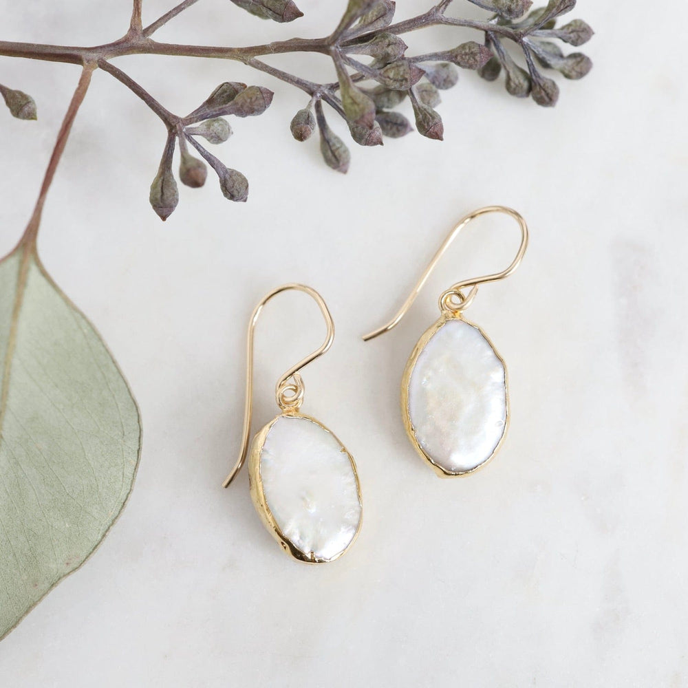 
                      
                        EAR-GF Pearl Simplicity Earrings
                      
                    