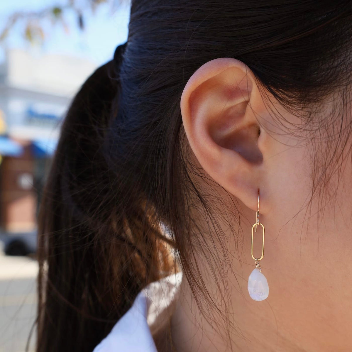 EAR-GF Rainbow Moonstone Drop on Paperclip Earrings