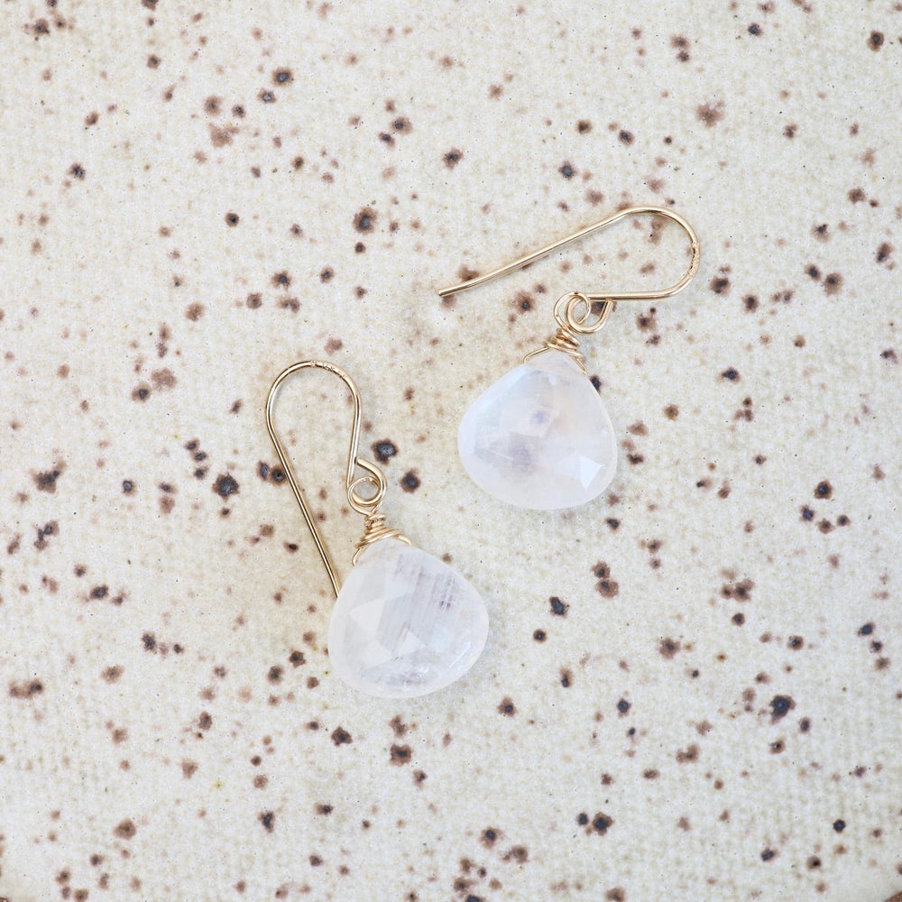 
                      
                        EAR-GF Rainbow Moonstone Teardrop Earring
                      
                    