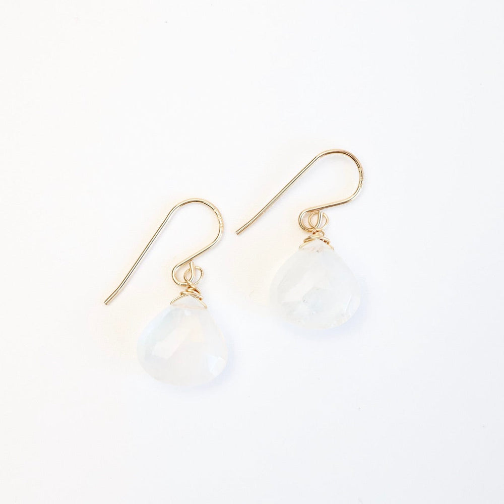 
                      
                        EAR-GF Rainbow Moonstone Teardrop Earring
                      
                    