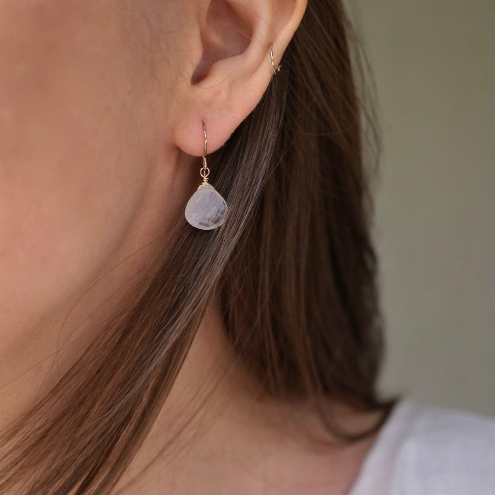 
                      
                        EAR-GF Rainbow Moonstone Teardrop Earring
                      
                    