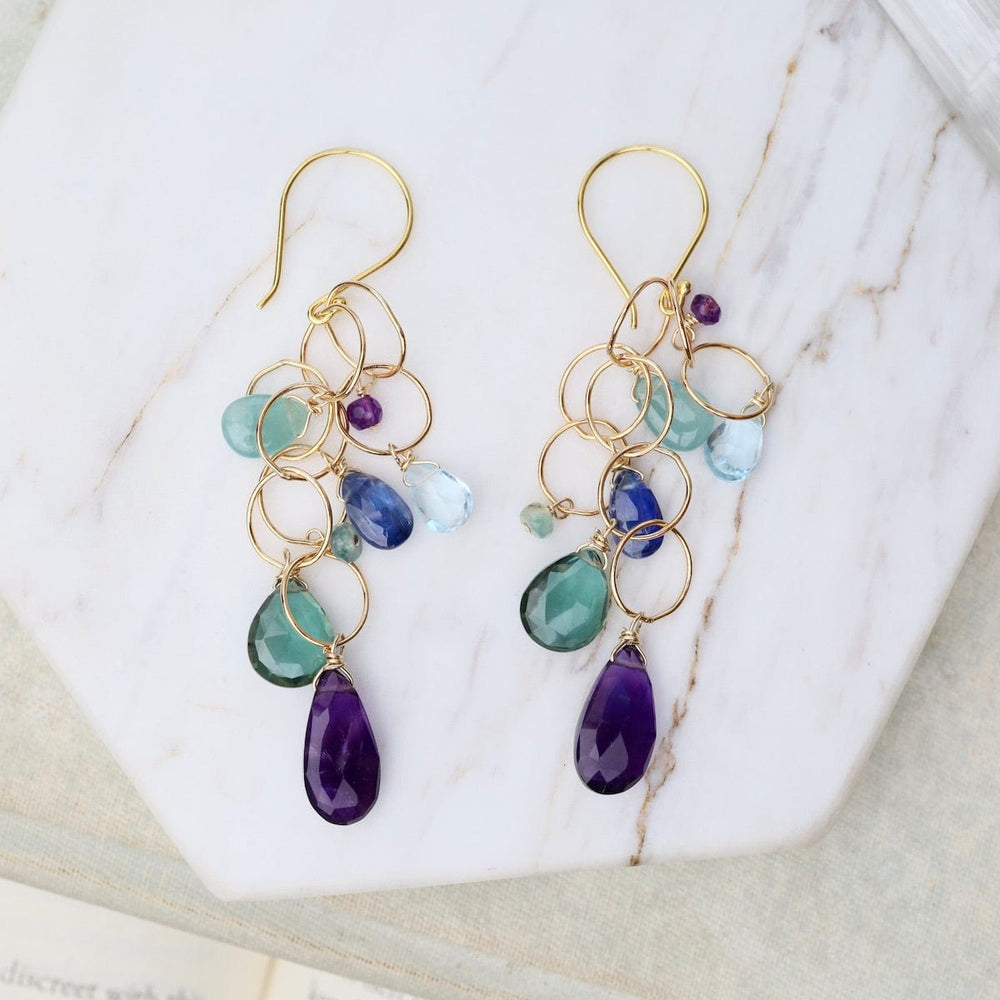 
                      
                        EAR-GF Rainfall Earrings in Amethyst
                      
                    