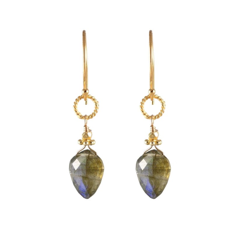 ear-gf Small Rope Link with Kite Labradorite Earrings