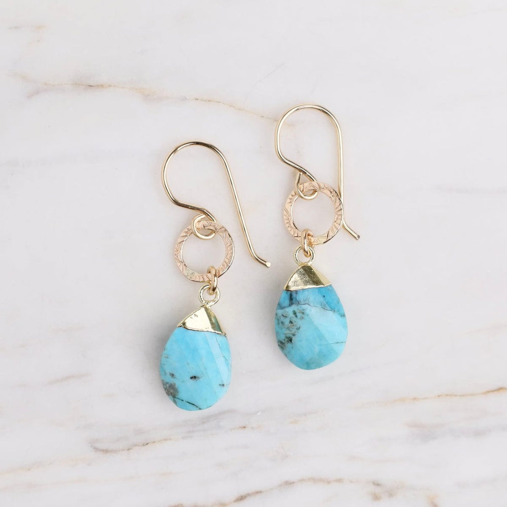 EAR-GF Wavy Turquoise Earrings