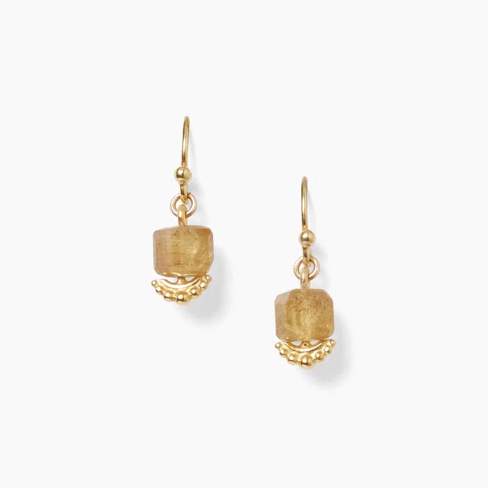 EAR-GPL Apatite Anahi Drop Earrings