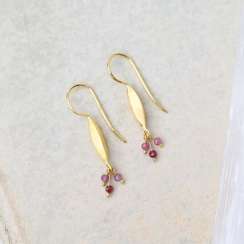 
                      
                        EAR-GPL Bliss Shaded Ruby Earrings
                      
                    