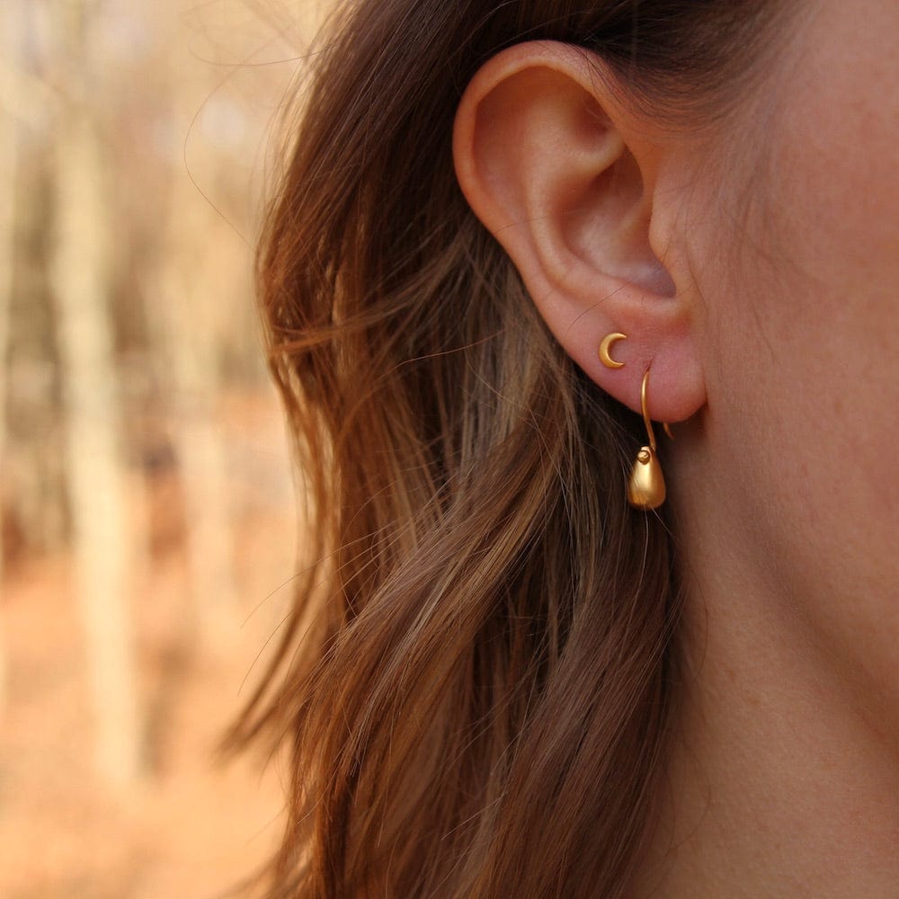 
                      
                        EAR-GPL Brushed Teardrop - Gold Plated
                      
                    