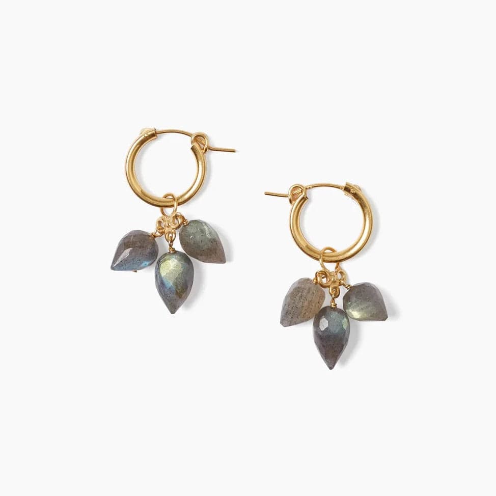 EAR-GPL Delphine Hoop Earrings Labradorite