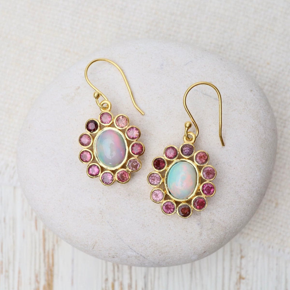 
                      
                        EAR-GPL Ethiopian Opal & Pink Tourmaline Earrings
                      
                    