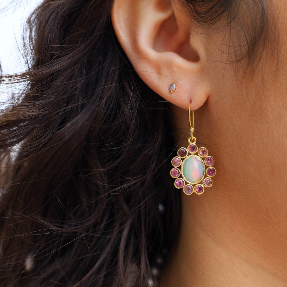 
                      
                        EAR-GPL Ethiopian Opal & Pink Tourmaline Earrings
                      
                    