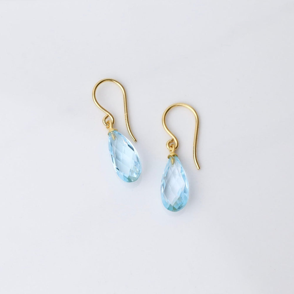 
                      
                        EAR-GPL Faceted Sky Blue Drop Earrings
                      
                    