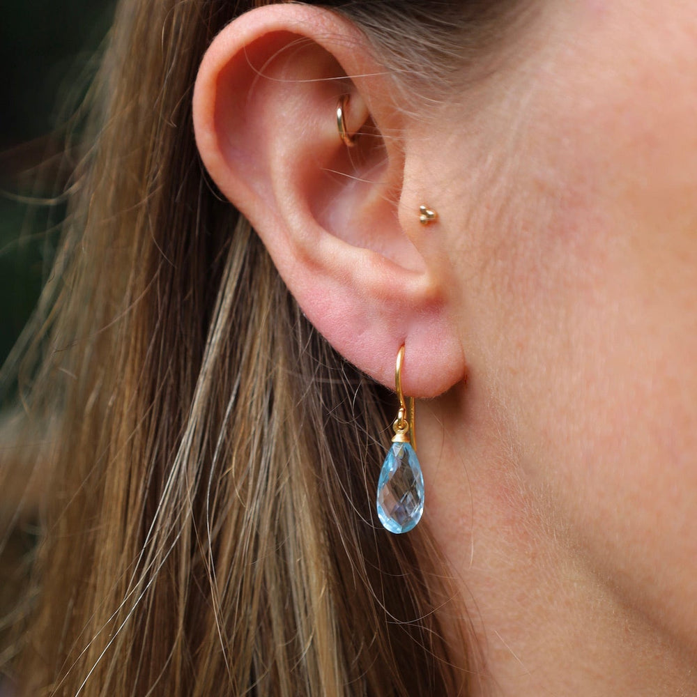 
                      
                        EAR-GPL Faceted Sky Blue Drop Earrings
                      
                    