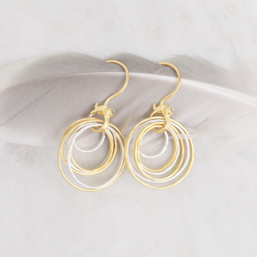 
                      
                        EAR-GPL Gold and Silver Hammered Earrings
                      
                    