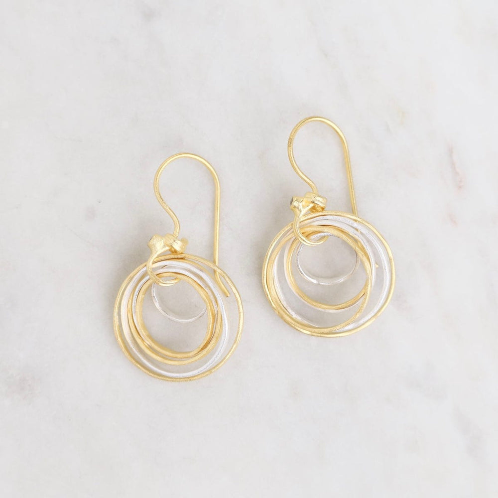 
                      
                        EAR-GPL Gold and Silver Hammered Earrings
                      
                    