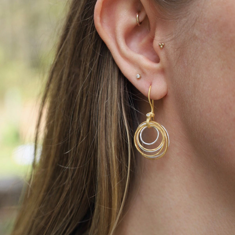 
                      
                        EAR-GPL Gold and Silver Hammered Earrings
                      
                    