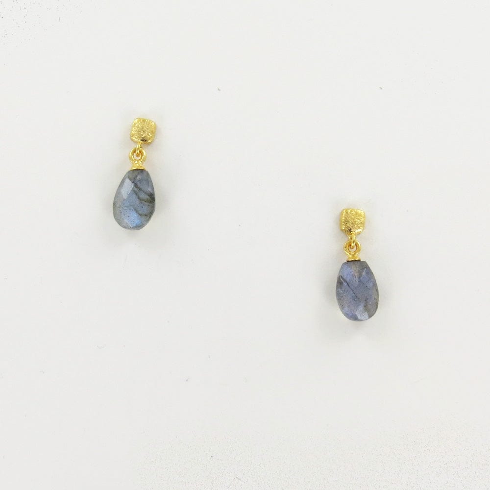 
                      
                        EAR-GPL GOLD CUBE FACETED LABRADORITE EARRINGS
                      
                    