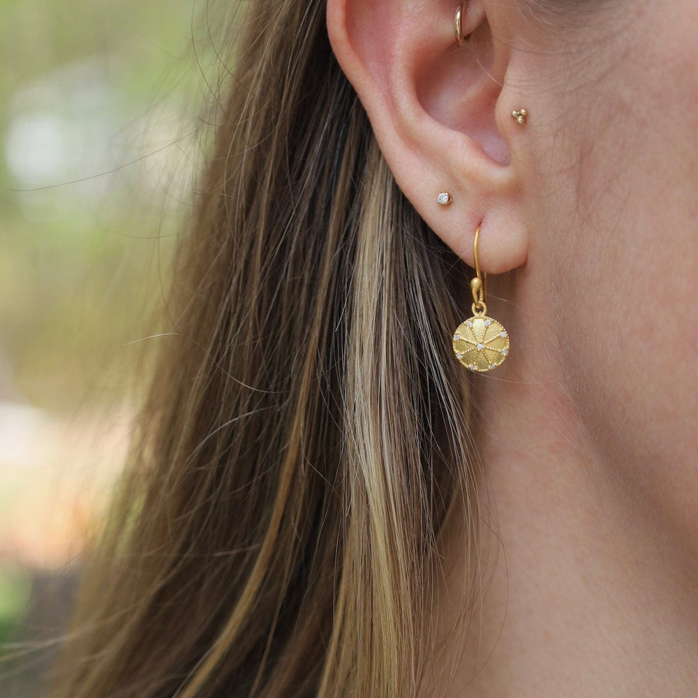 
                      
                        EAR-GPL Gold Disc with CZ
                      
                    