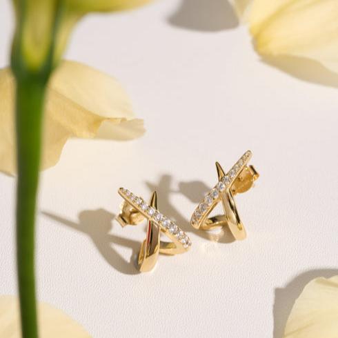 
                  
                    EAR-GPL Gold Kiss Polished Pave Studs
                  
                