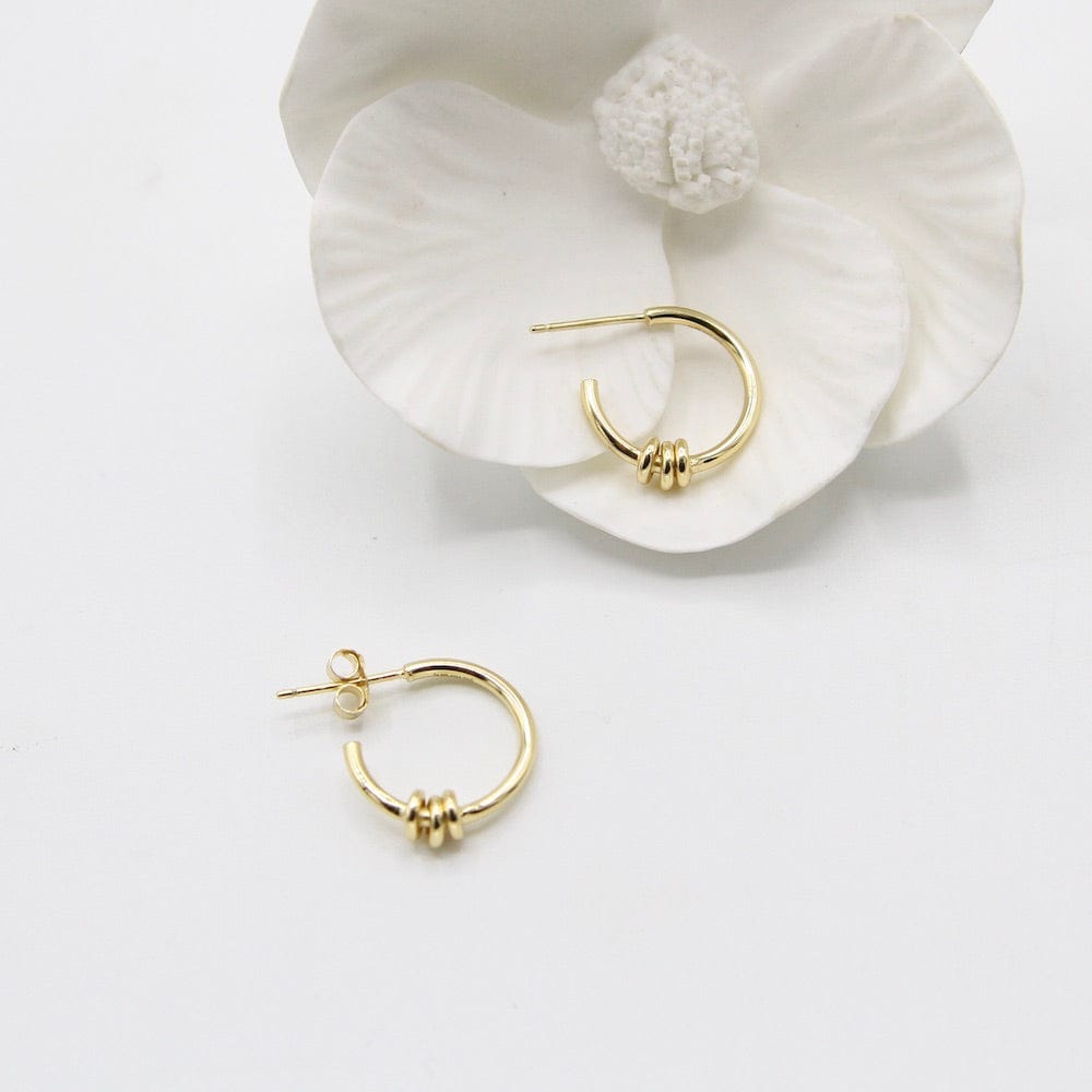 
                      
                        EAR-GPL Gold Modern Hoop Earrings
                      
                    