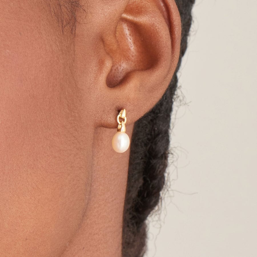 
                      
                        EAR-GPL Gold Pearl Drop Stud Earrings
                      
                    