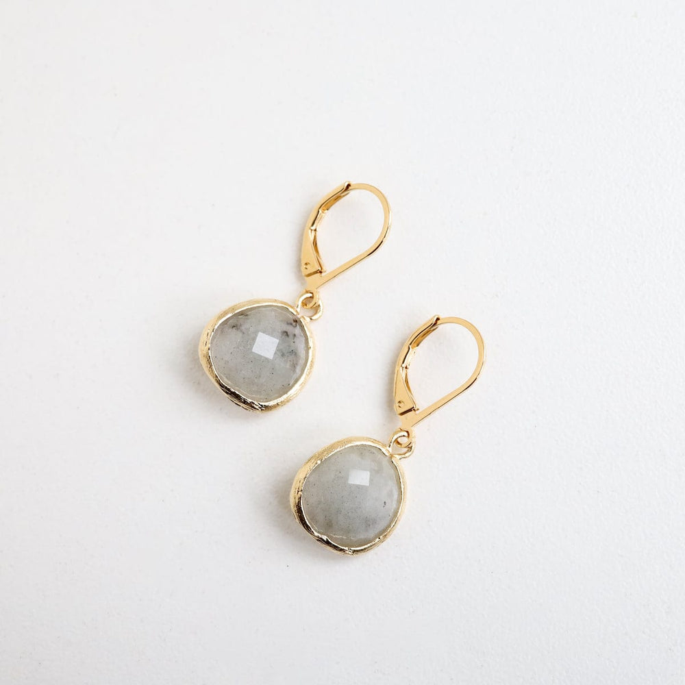 
                  
                    EAR-GPL Gold Plated Labradorite Lever Back Earring
                  
                