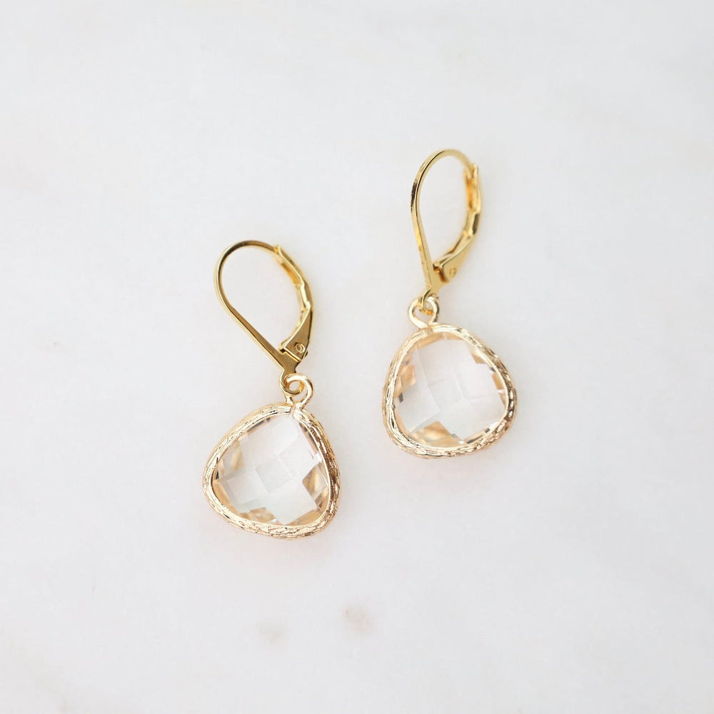 
                      
                        EAR-GPL Gold Plated Lever Back Gemstone Earrings – Clear
                      
                    