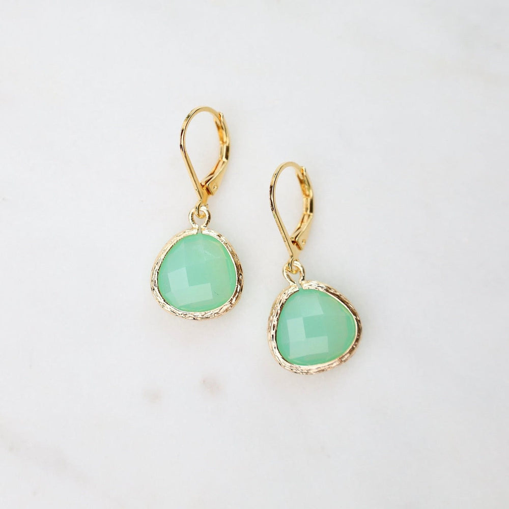 
                      
                        EAR-GPL Gold Plated Lever Back Gemstone Earrings – Tide
                      
                    