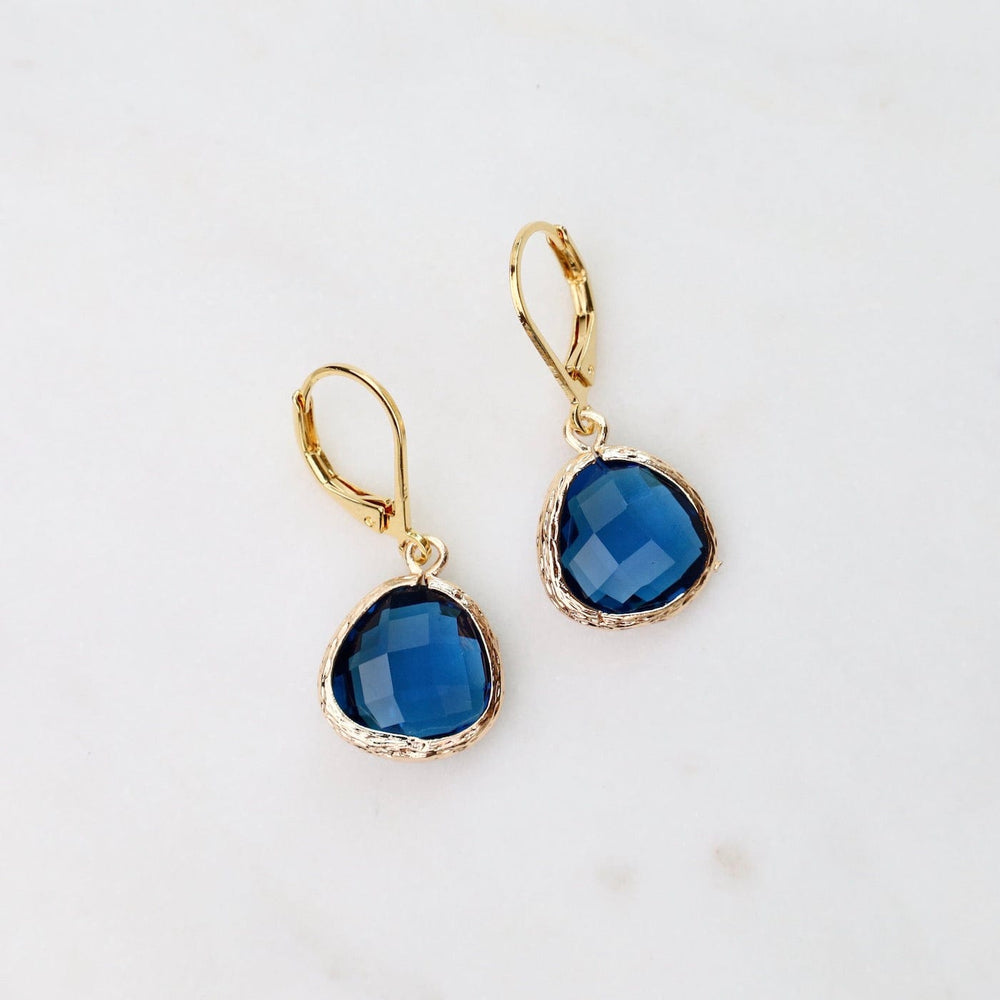 
                      
                        EAR-GPL Gold Plated Montana Blue Crystal Lever Back Earrings
                      
                    