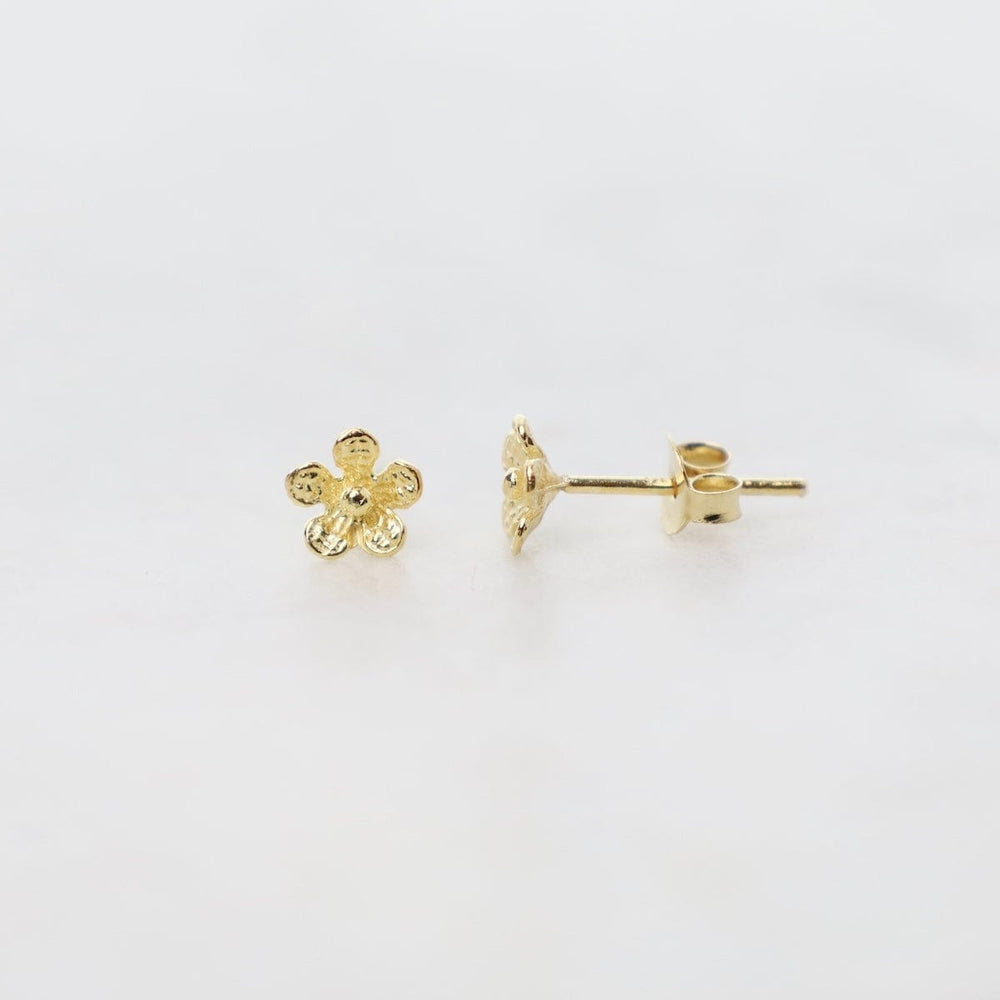 
                  
                    EAR-GPL Gold Plated Sterling Silver - Open Flower
                  
                