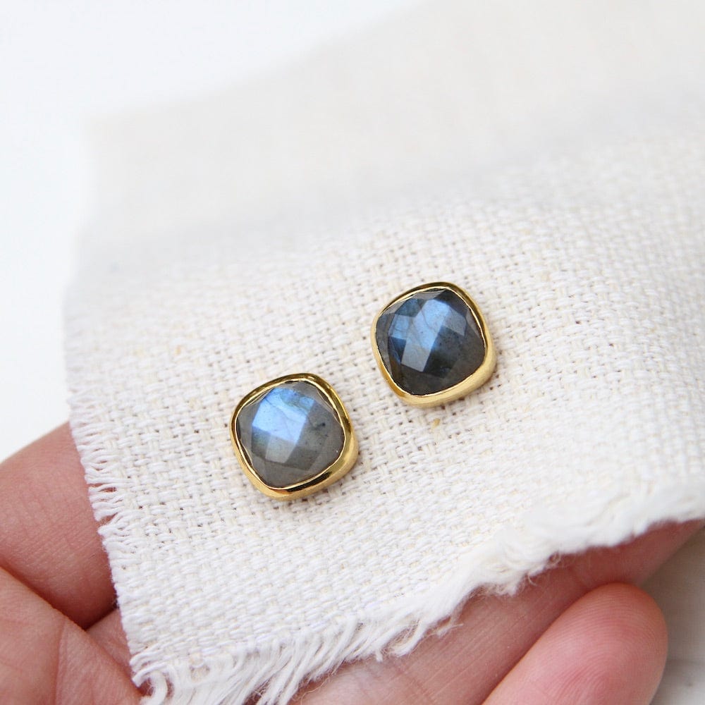 
                  
                    EAR-GPL Labradorite Asha Square Studs
                  
                