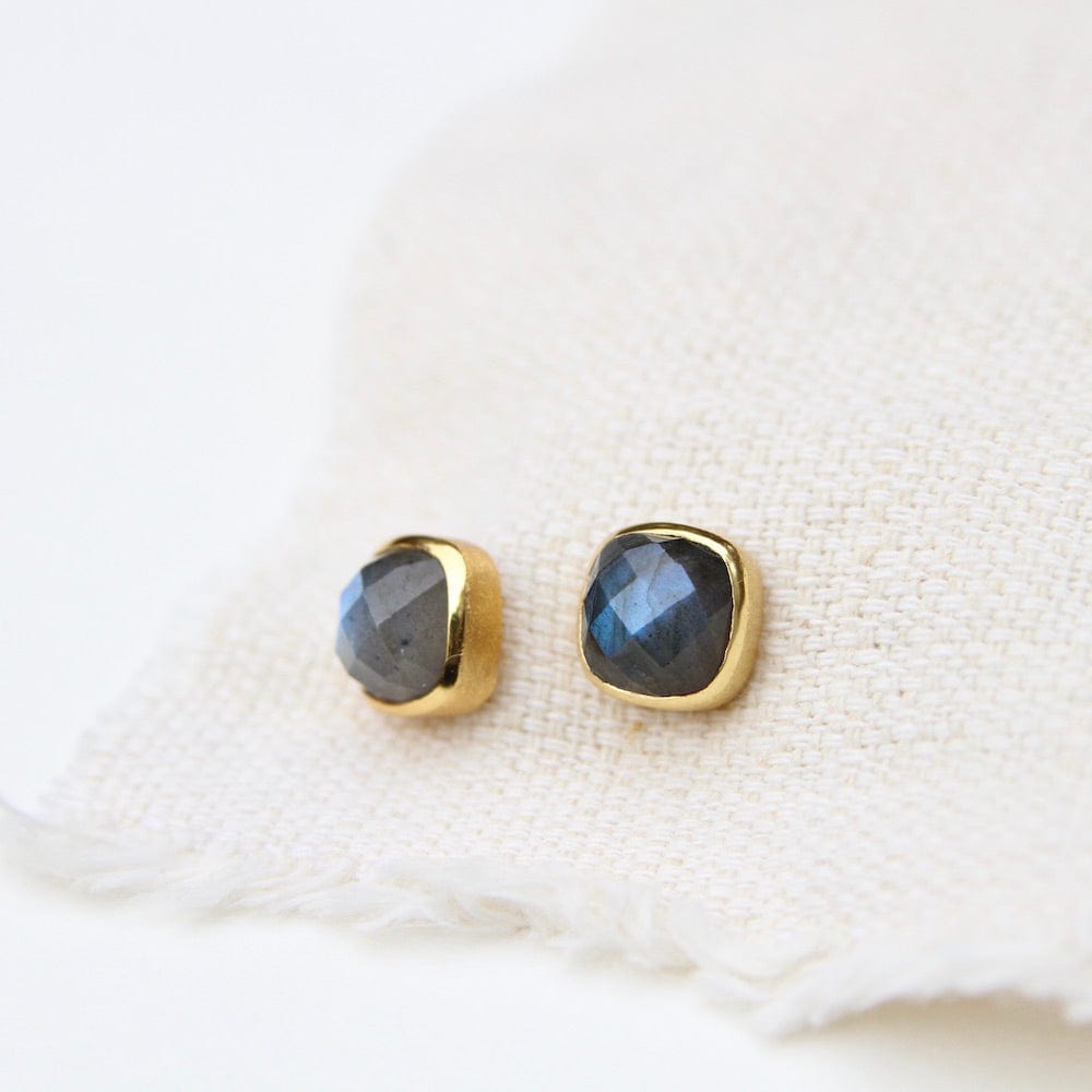 
                  
                    EAR-GPL Labradorite Asha Square Studs
                  
                