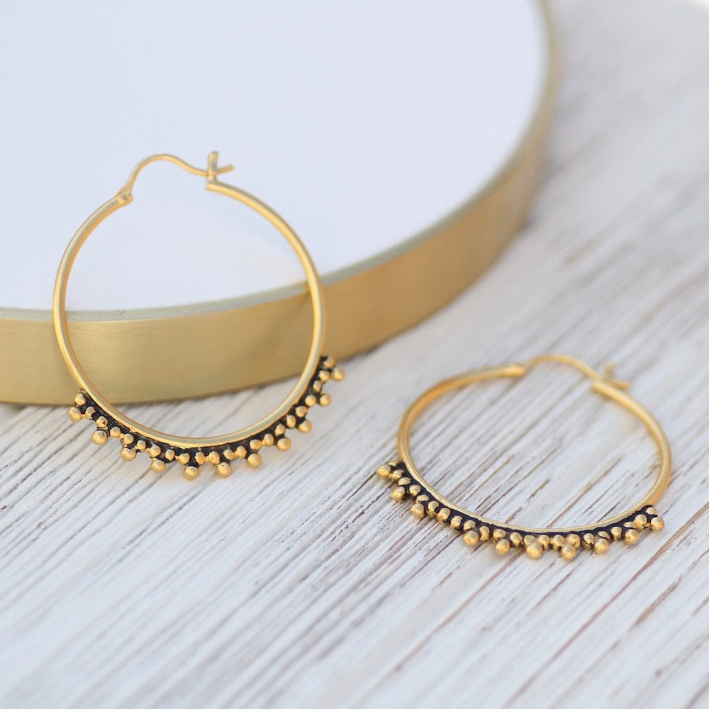 
                      
                        EAR-GPL Large Clover Granulation Hoop - Gold Plate
                      
                    