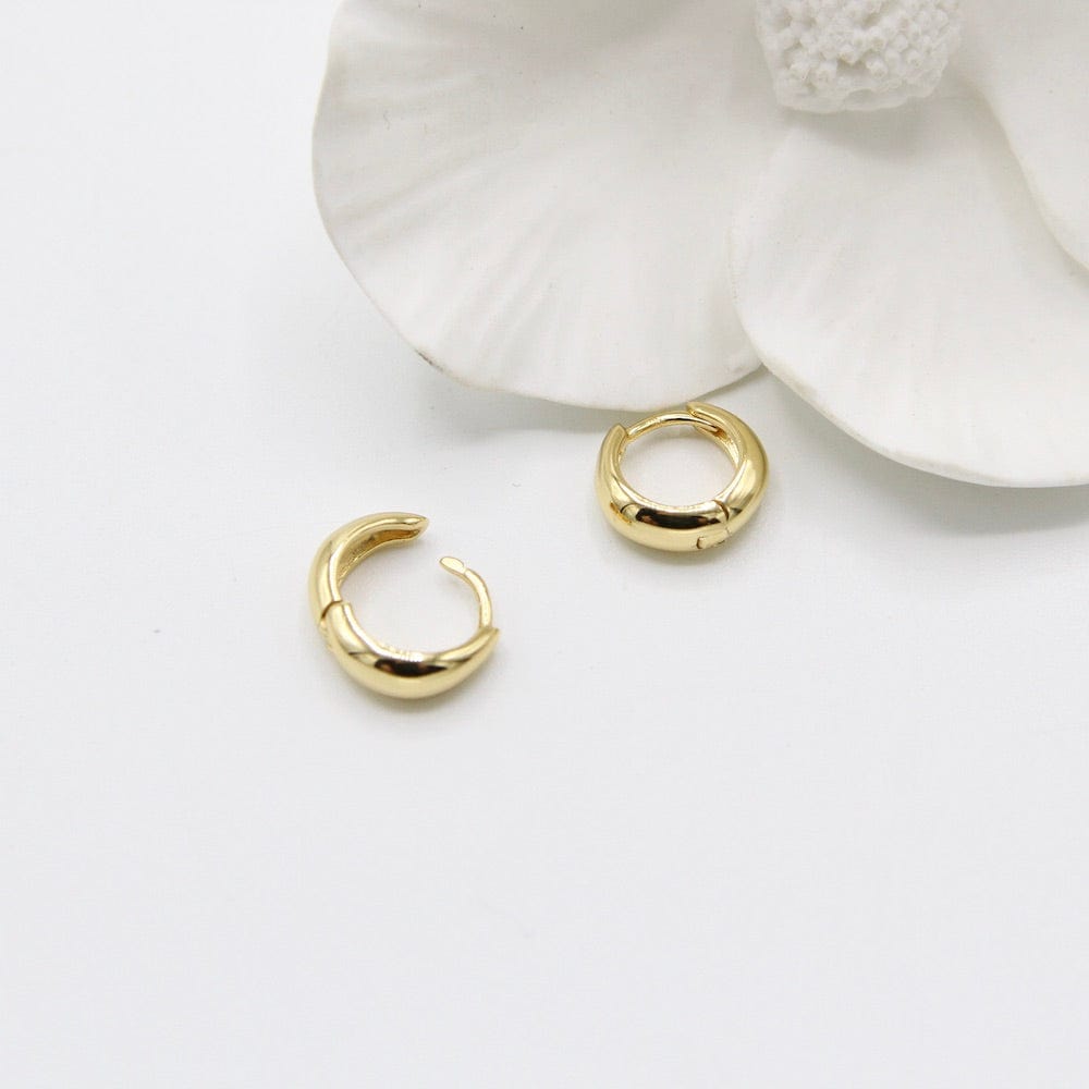 
                      
                        EAR-GPL Luxe Huggie Hoop Earrings
                      
                    